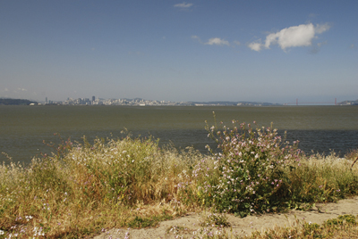 view of the bay, Albany Bulb