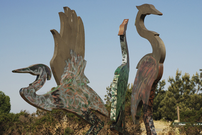 bird sculptures, Albany Bulb