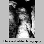 black and white photography by collaborative artists Ira and Corliss Lesser 